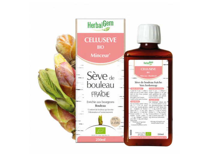 Seve De Bouleau Fraiche Bio Celluseve Minceur 250ml Herbalgem