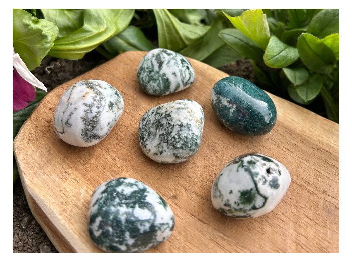 PIERRE ROULÉE AGATE ARBRE