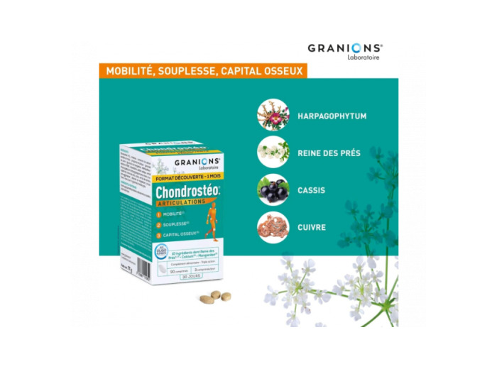 Granions Chondrostéo Articulations 2 + 1 Offert