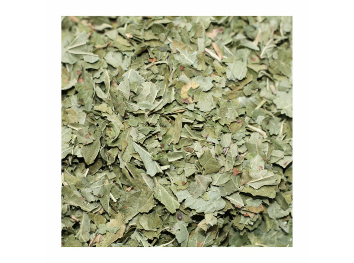 CASSIS - Feuilles coupées