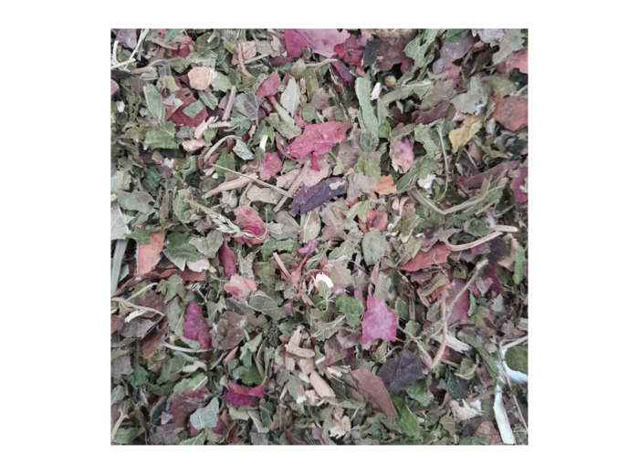 JAMBES LEGERES - Infusion N°8