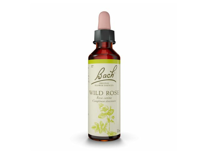 FLEUR BACH WILD ROSE GTT 20 ML