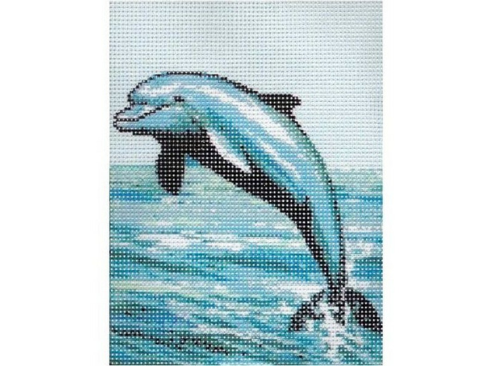 Kit canevas Dauphin