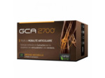 SV GCA 2700  60 CP