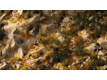 Golden Autumn Glade Basing Box