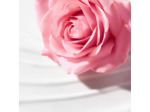 NUXE VERY ROSE LAIT DEMAQUILLANT 200ML