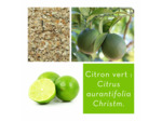 CITRON VERT - Zeste coupé