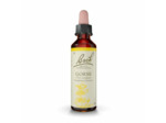 FLEUR BACH GORSE GTT FL20ML