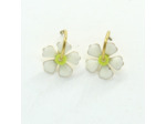 Boucles d'oreilles TERASOLIS