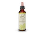 FLEUR BACH WHITE CHESTNUT GTT 20ML