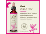 FLEUR BACH OAK GTT FL20ML
