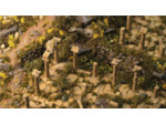 Mediterranean Temple Basing Box