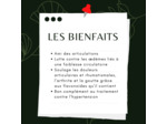 CASSIS - Feuilles coupées