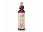 FLEUR BACH OAK GTT FL20ML