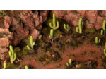 Basing Bits - Saguaro Cacti