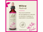 FLEUR BACH  WILLOW GTT 20 ML