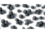 Basing Bits - Barrel Cacti