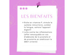 EPILOBE - Parties aériennes coupées