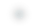 SANOFLORE EAU FLO BLE B 200ML1