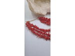 Collier corail rouge olpa2174
