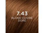 PHYTOCOLOR 7.43 BLOND CUIVRE DORE