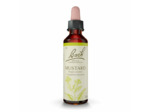 FLEUR BACH MUSTARD GTT FL20ML