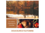 DOUCEURS D'AUTOMNE - Rooibos Citrouille - Châtaigne