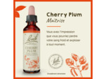FLEUR BACH CHERRY PLUM GTT FL20ML