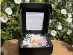COFFRET LES ESSENTIELLES DE LA LITHOTHÉRAPIE