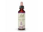 FLEUR BACH WATER VIOLET GTT 20ML