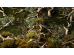 Basing Bits - Gnarled Branches