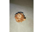 Aragonite 34g