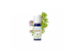 PSL HE SARRIETTE MONT B 5ML