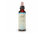 FLEUR BACH VERVAIN GTT FL20ML