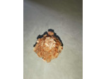 Aragonite 34g