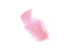 Boites de plumes  - Rose