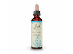 FLEUR BACH CHICORY GTT FL20ML