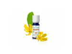 PSL HE YLANG-YLANG B 5ML