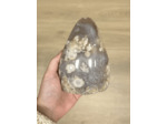 FORME AGATE FLEUR DE CERISIER