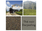 DARJEELING FTGFOP1 TUMSONG - Thé noir