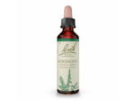 FLEUR BACH AGRIMONY GTT FL20ML