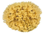 Croll & Denecke Naturschwamm M 120
