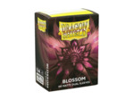 Dragon Shield - Dual Matte - Standard - Blossom Pastels (x100)