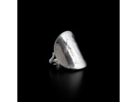 Bague 1 Franc cintrée