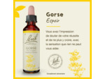 FLEUR BACH GORSE GTT FL20ML