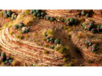 Basing Bits - Barrel Cacti
