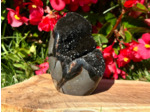 FORMES SEPTARIA SAUVAGE