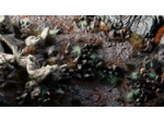 Basing Bits - Chaos Shards