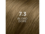 PHYTO COLORATION PERMANENTE 7,3