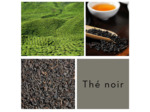 OP JINJING - Thé noir